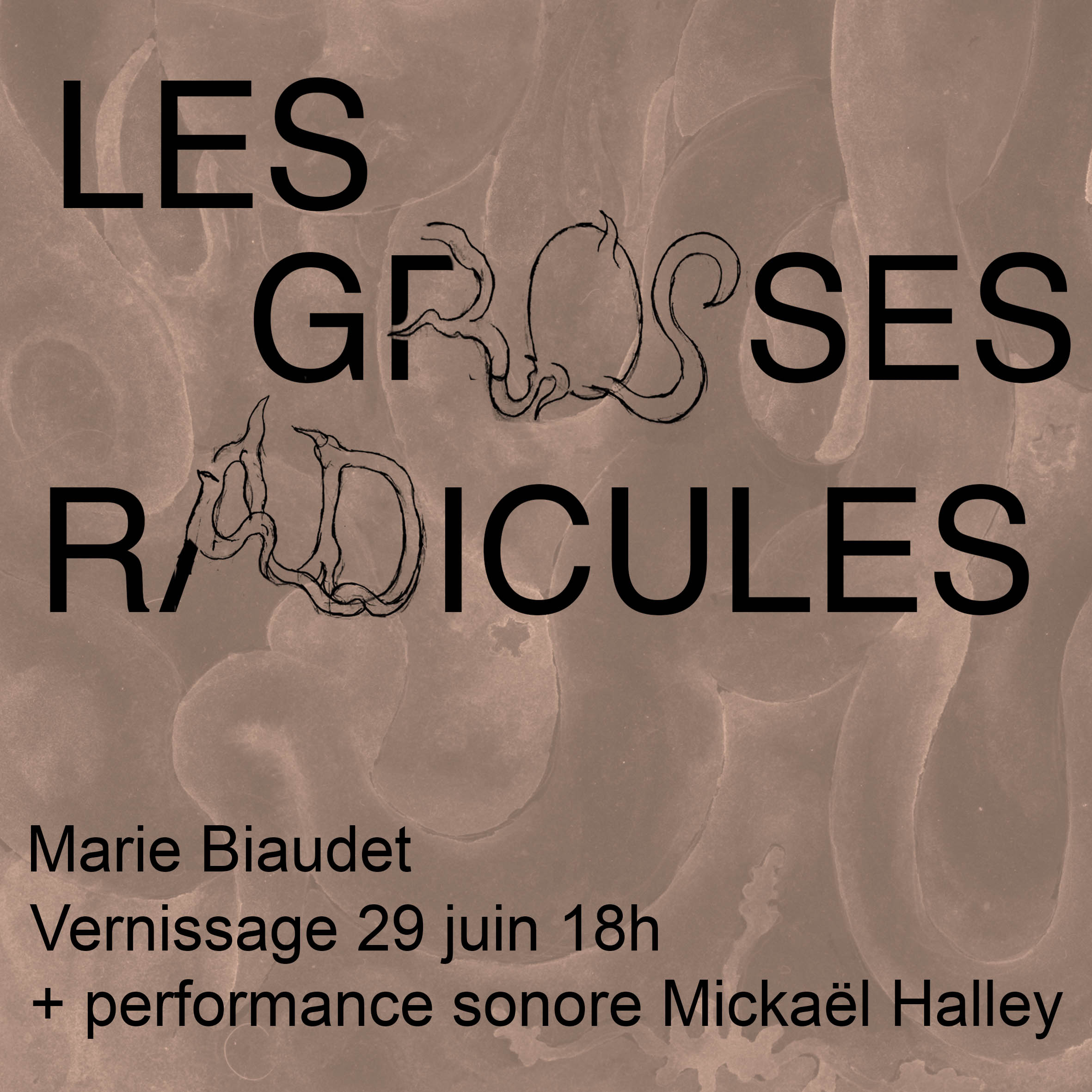 Marie Biaudet - Les Grosses Radicules